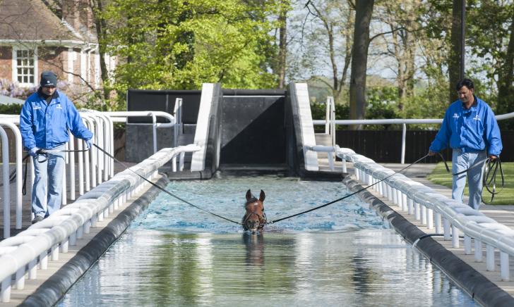 godolphin stable tours